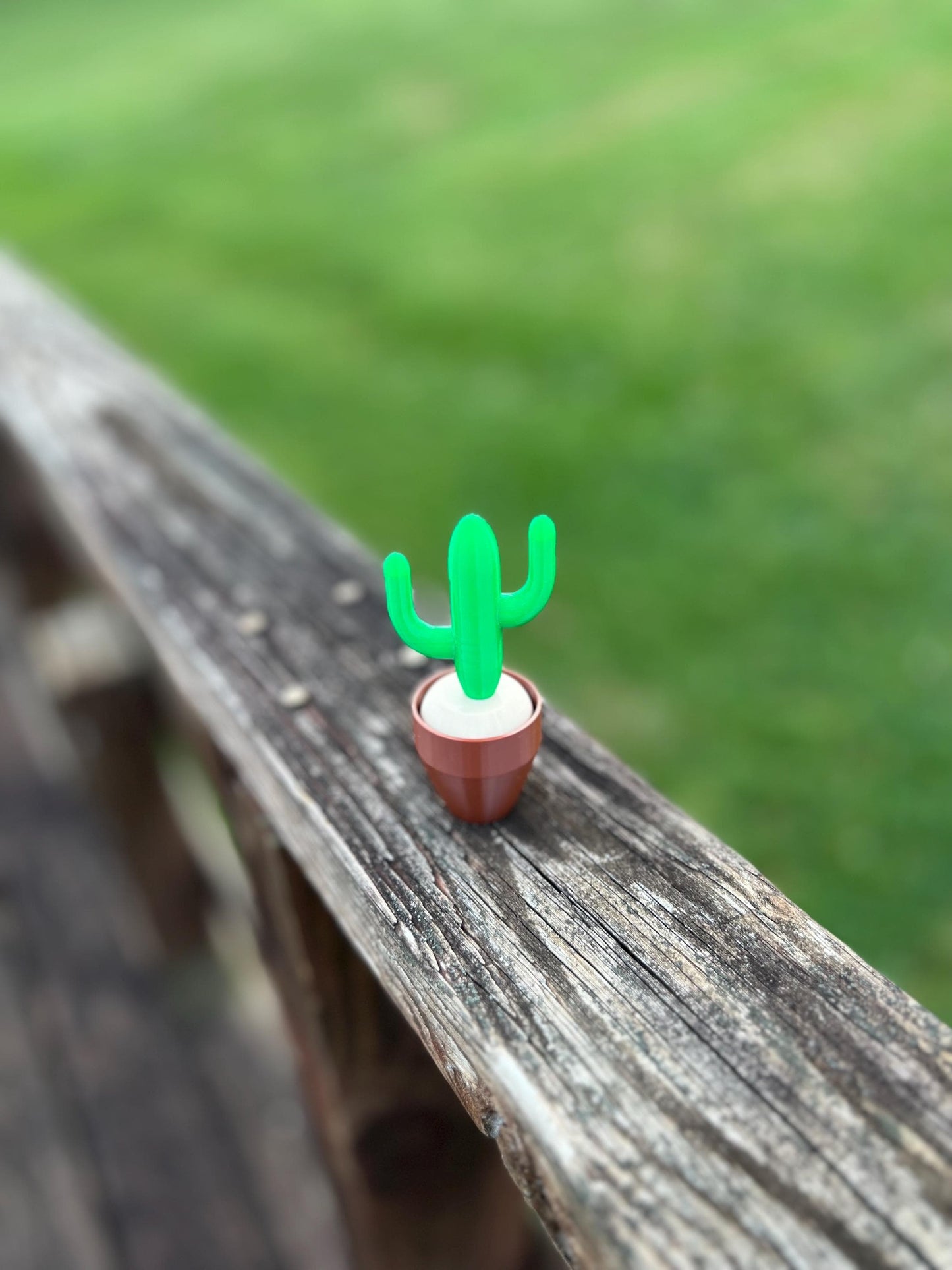 Cactus Fidget Clicker | Desk Toy | Desk Clicky Fidget | Keyboard Toy | Fidget Toy